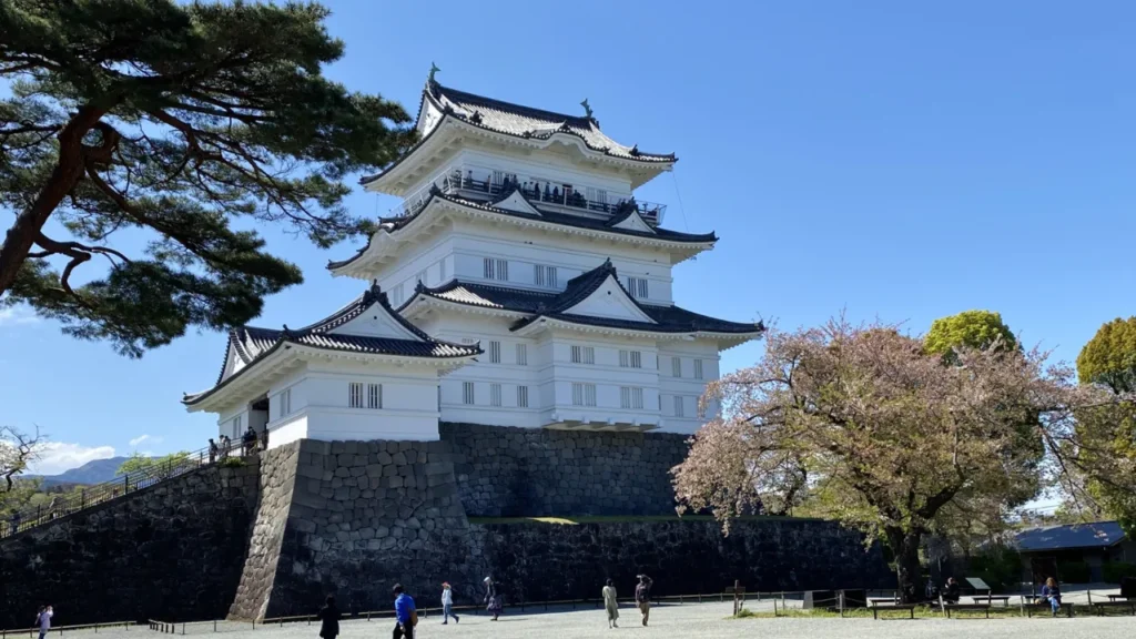 小田原城と梅の花、天気は快晴