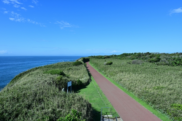 城ヶ島公園の緑の芝生の小道と青い海・青空