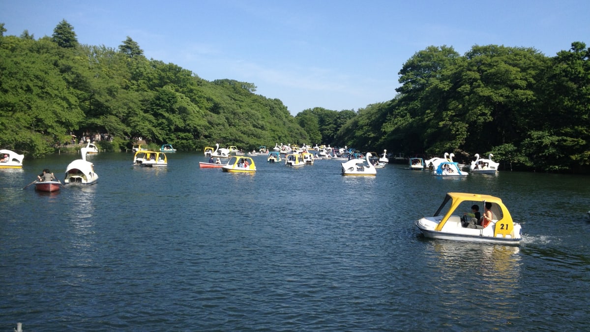 京王井の頭線沿線の井の頭公園 スワンボートが浮かぶ吉祥寺の井の頭公園