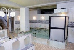 湯パークレビランドの浴室と洗い場