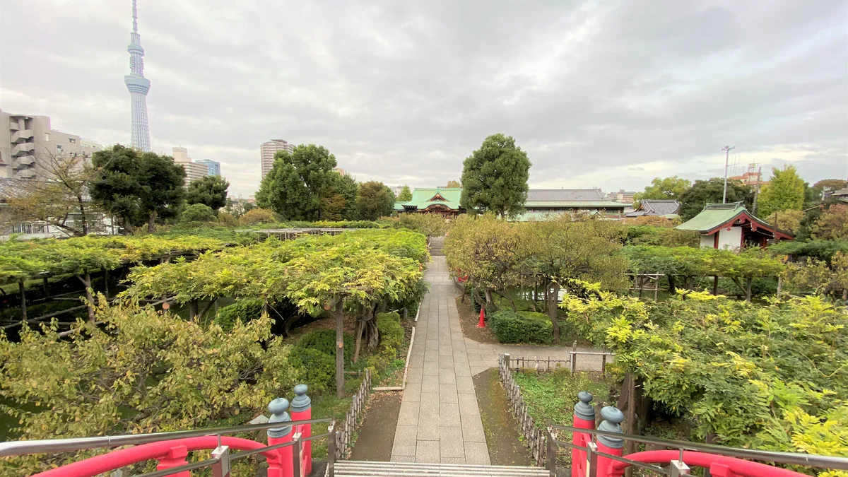 亀戸天神社の太鼓橋から見た境内と東京スカイツリー