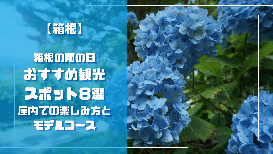 箱根の雨の日おすすめ観光スポット8選｜屋内での楽しみ方とモデルコースのブログサムネイル、箱根神社の鳥居とあじさい