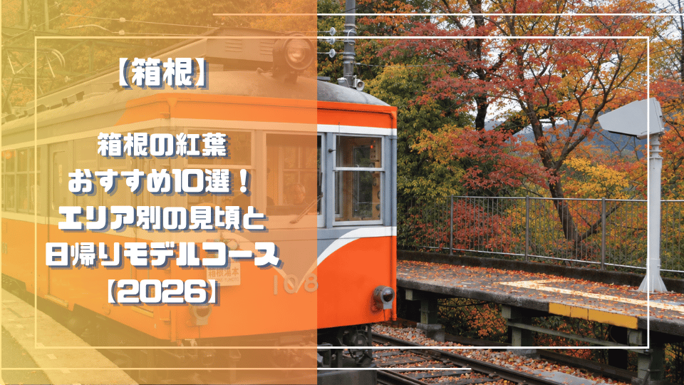 箱根の紅葉おすすめ10選！エリア別の見頃と日帰りモデルコース【2026】のサムネイル、箱根登山鉄道と背景に紅葉が広がっている様子