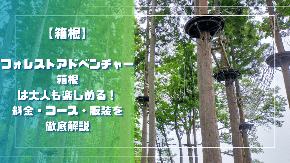 フォレストアドベンチャー箱根は大人も楽しめる！料金・コース・服装を解説のサムネイル、森の中にアクティビティが設置されている。