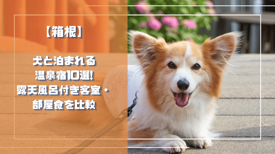 箱根で犬と泊まれる温泉宿10選｜露天風呂付き客室・部屋食を比較