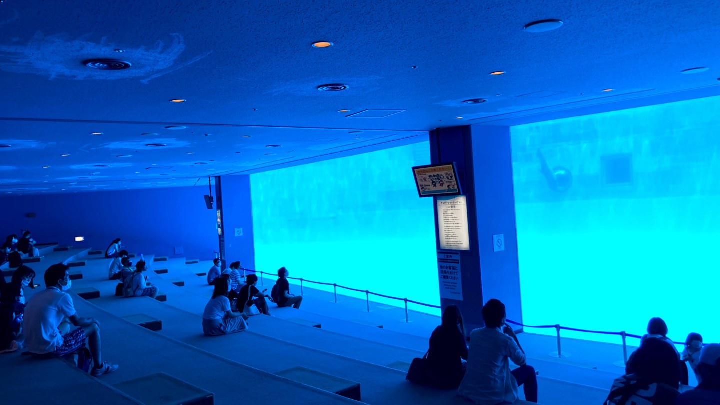 名古屋港水族館の水中観覧席と大きな観察窓