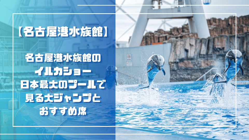 名古屋港水族館のイルカショー｜日本最大のプールで見る大ジャンプとおすすめ席のサムネイル