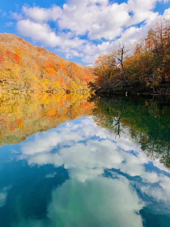 千歳川の澄んだ水面に映る秋の紅葉