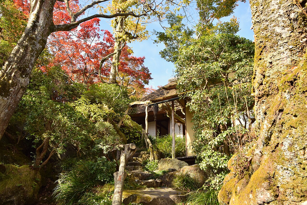 箱根強羅公園の白雲洞茶苑周辺で色づくモミジと苔むした庭園