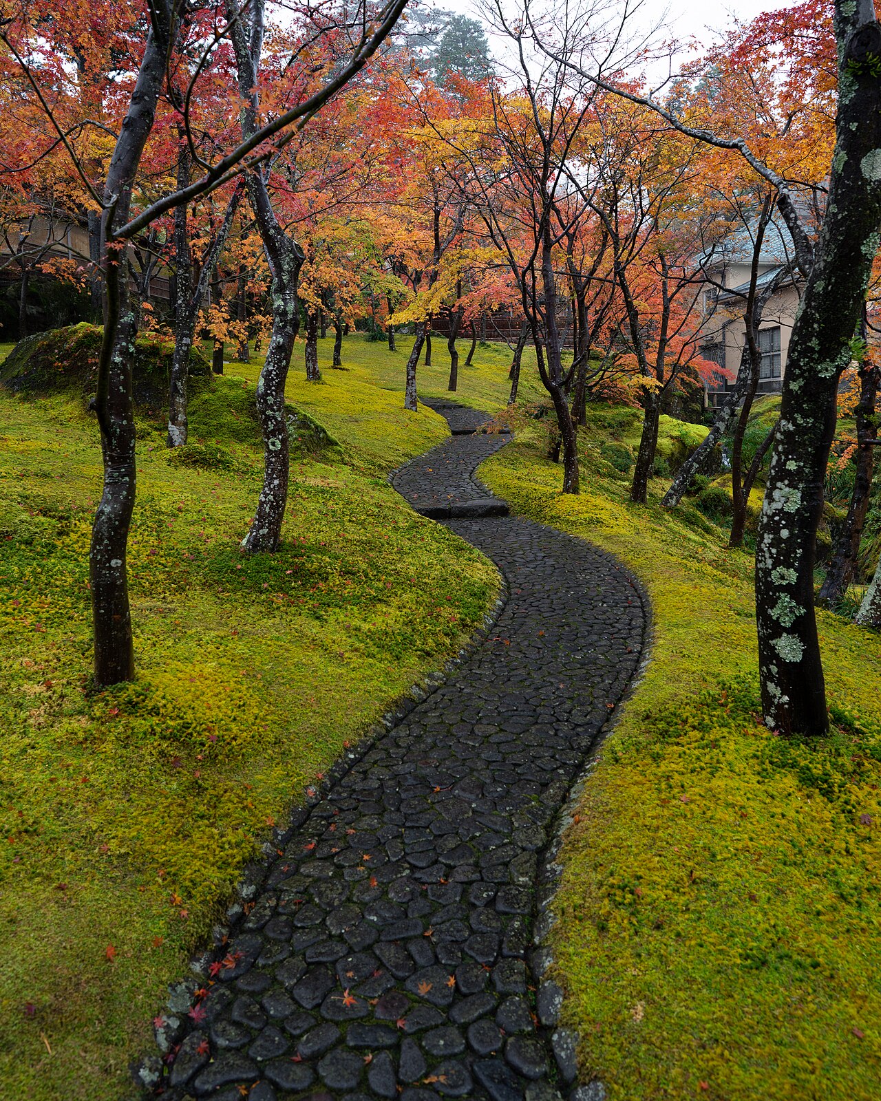 箱根美術館の苔庭で色づくモミジと石畳の小径